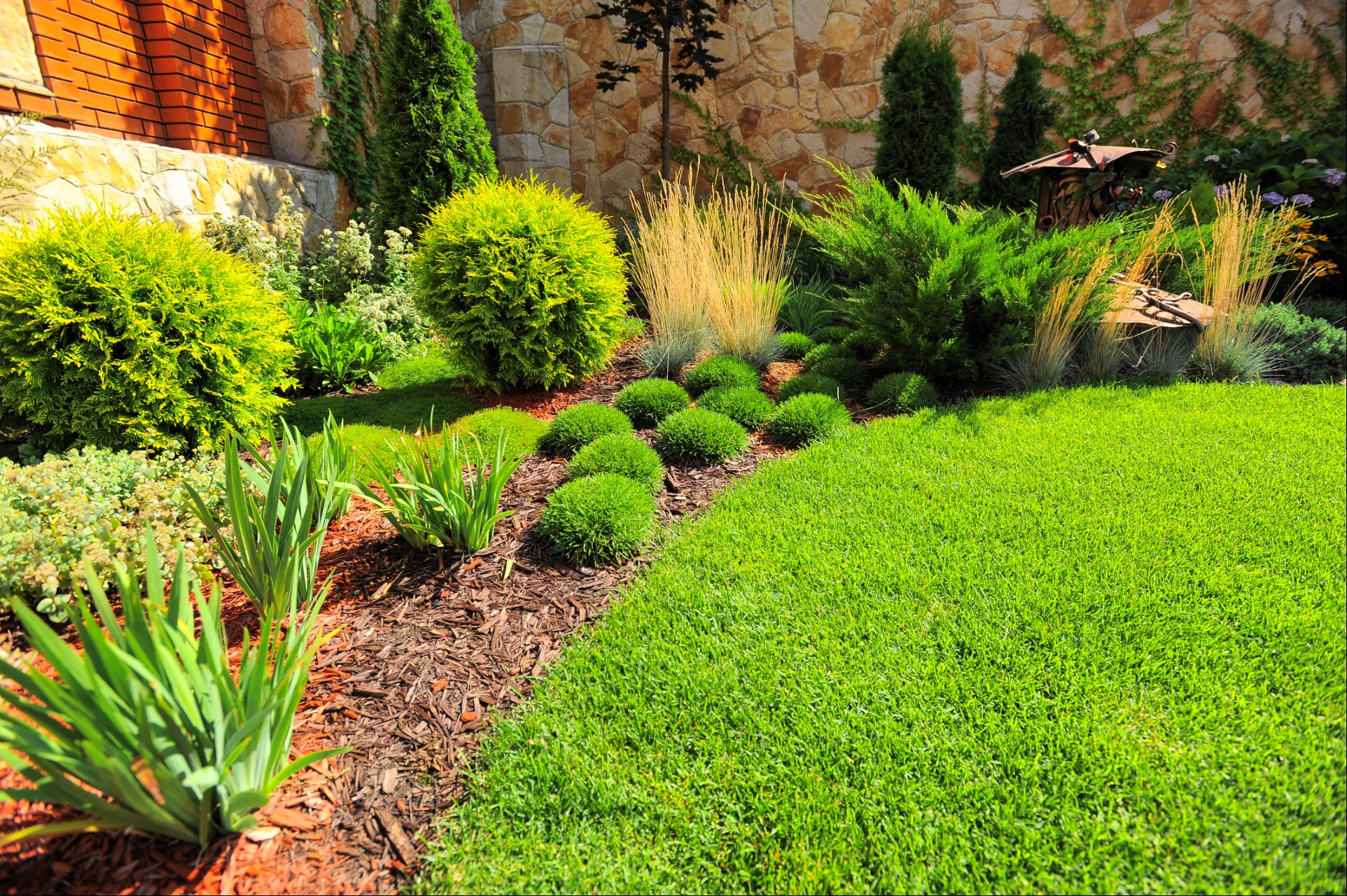 Landscaped front yard with layered greenery and curb appeal.